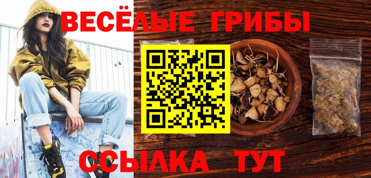 Джанкой  Галлюциногенные грибы MAGIC MUSHROOMS  Вход с VPN 