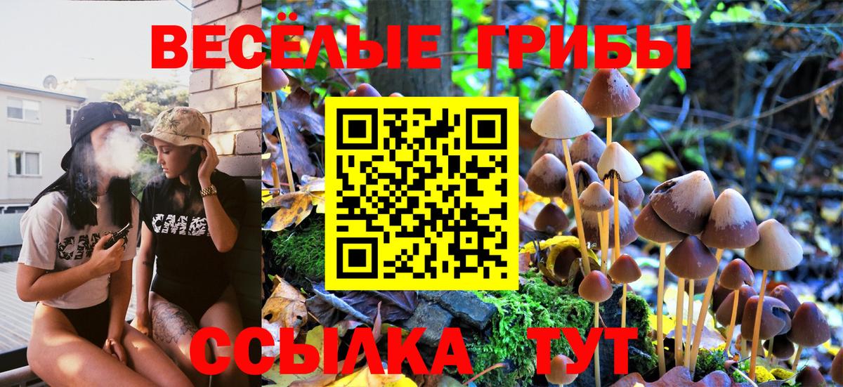 Галлюциногенные грибы прущие грибы Джанкой